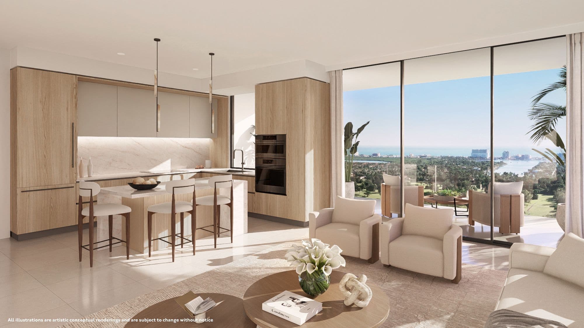 Kitchen and living room